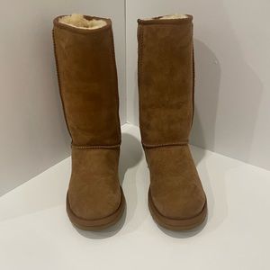Tall Chestnut Uggs